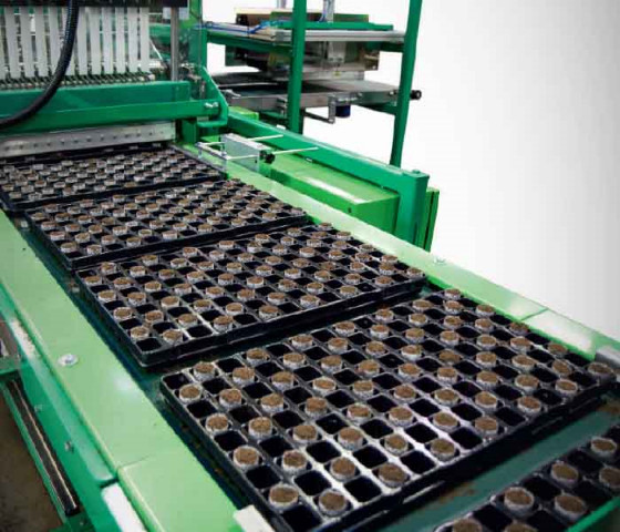 Ellepot System in Plant Production