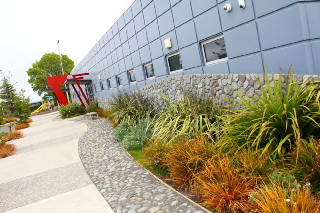 South Island Trade Day 2025
